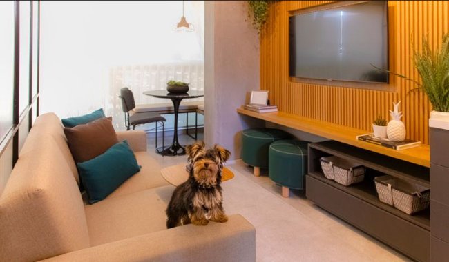 Apartamento pronto para morar de 1 dorm a venda no Ipiranga